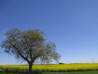 /album/fotogalerie/bildstoff-467-jpg/